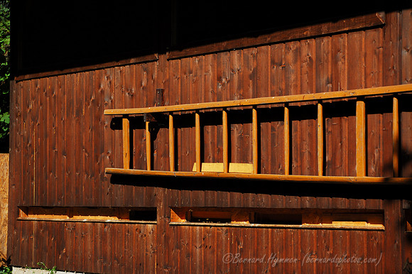 D70_18620