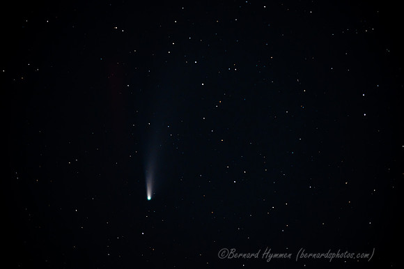 Z6_176585