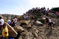 D300_46866.jpg