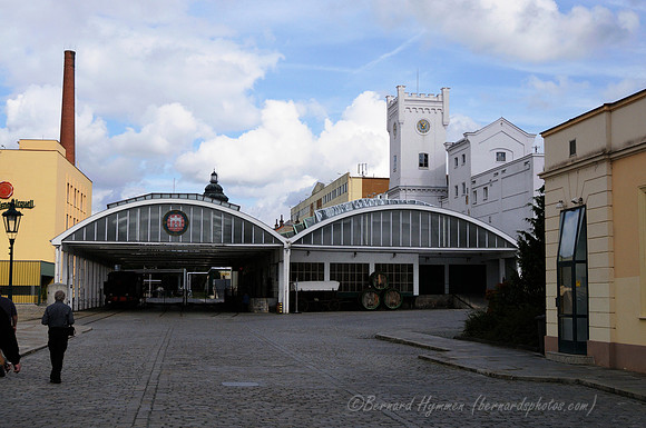 D300_75412