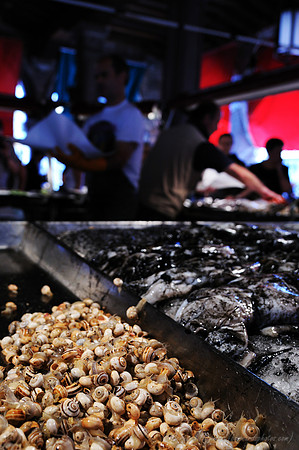 D300_45427.jpg