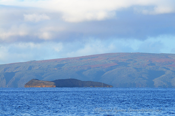 D300_57789