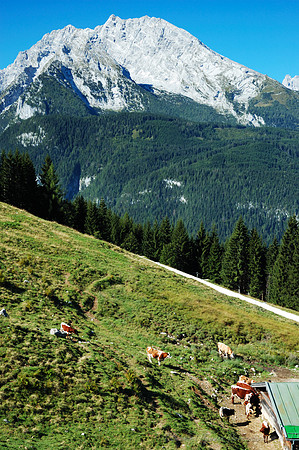 D70_18545