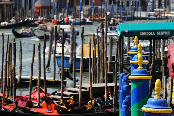 D300_45483.jpg