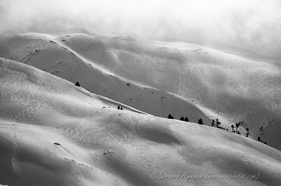 D300_69758
