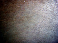SD800_58639
