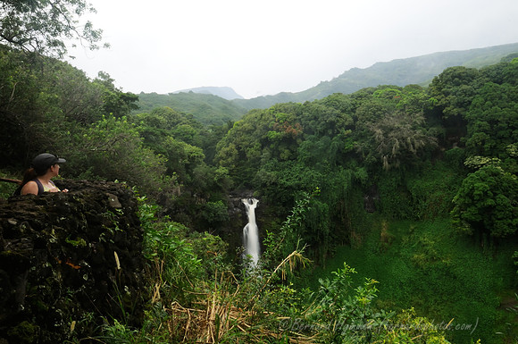 D300_126039