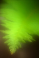 D70_21909