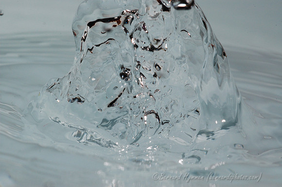D70_20631