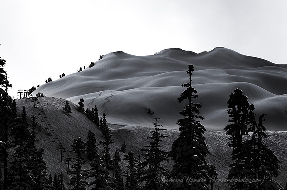 D300_62103