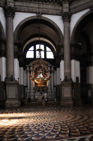 D300_45164.jpg