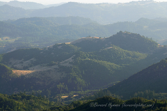 D300_32100
