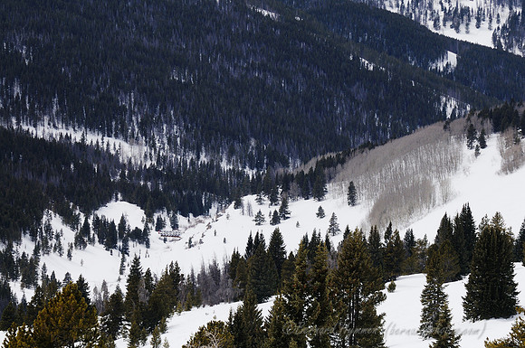 D300_120309