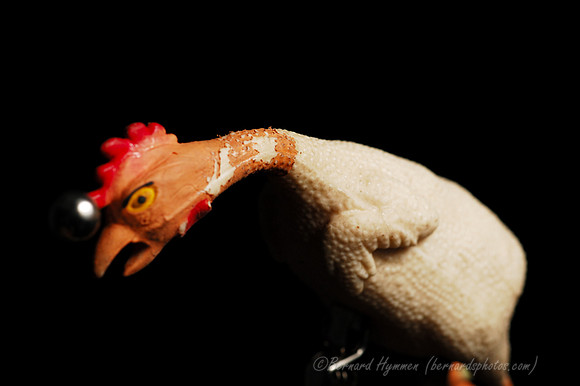 D70_22826