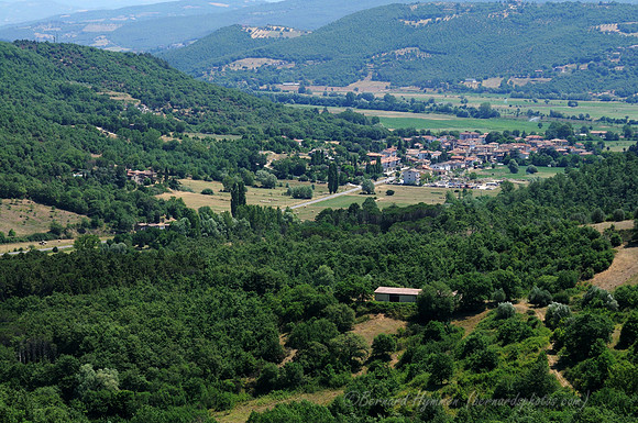D300_135847