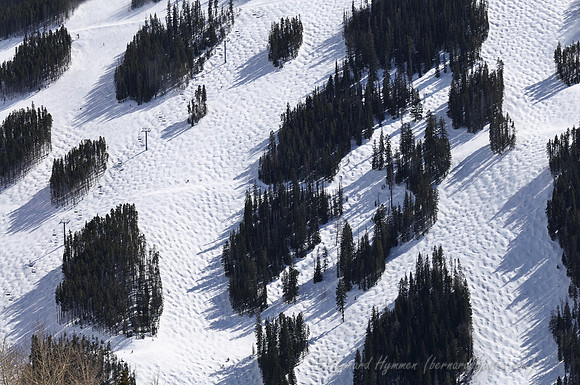 D300_120084