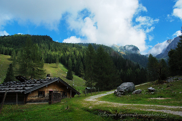D70_18479