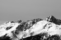 D300_120298