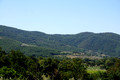 D300_135487
