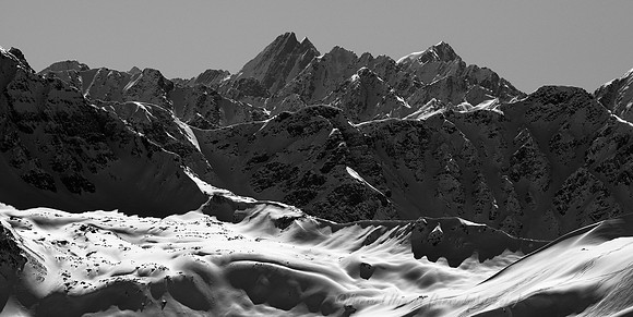 D300_69239