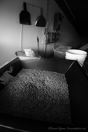 D70_15822