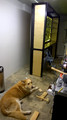 WP_20141212_02_22_17_Pro