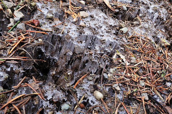 D300_117540