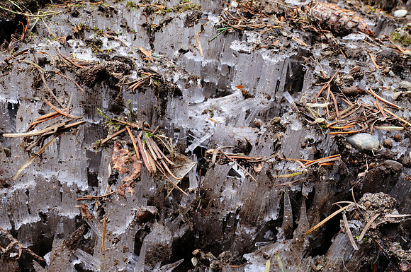 D300_117542