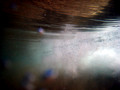 SD800_58637