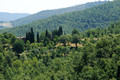 D300_135848