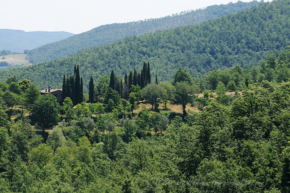 D300_135848