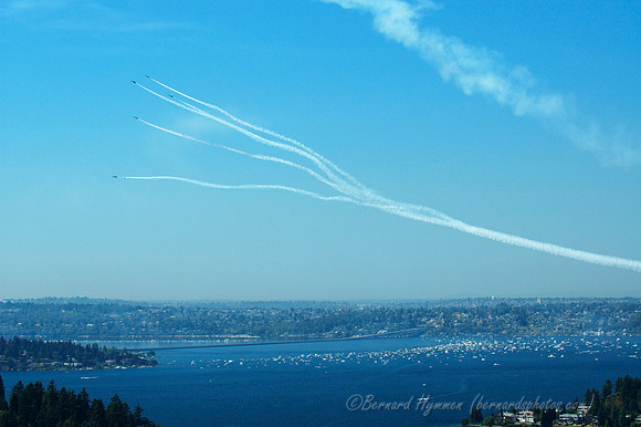 D70_11462