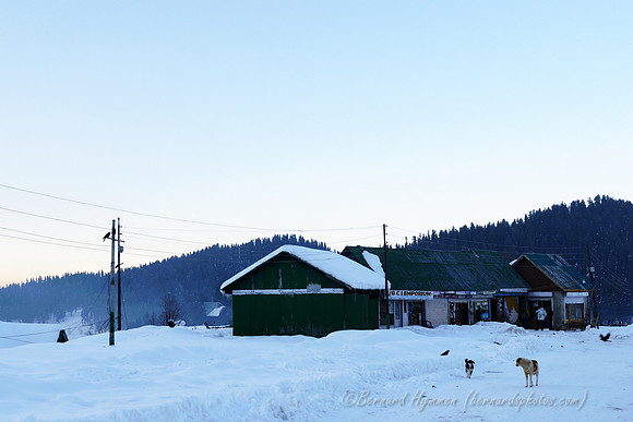 D300_69174