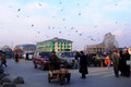 D300_68980
