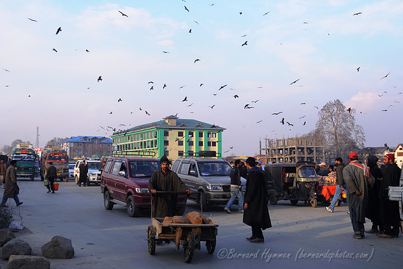 D300_68980