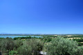 D300_135494