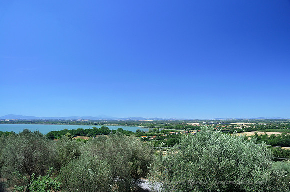D300_135494