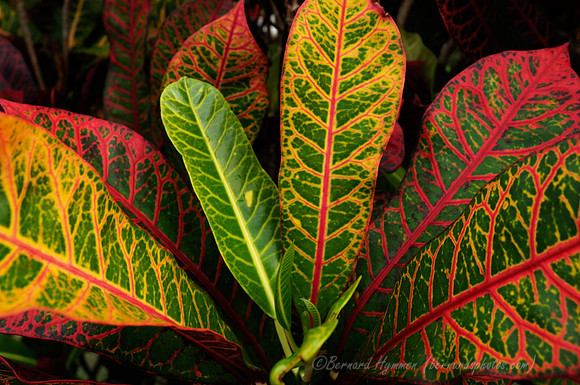 D300_125528