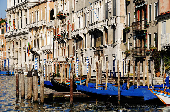 D300_45712.jpg
