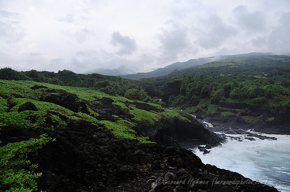 D300_125976