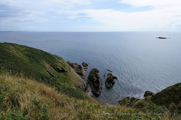 D300_100652