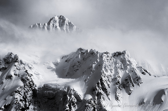 D300_62120