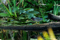 D300_37738