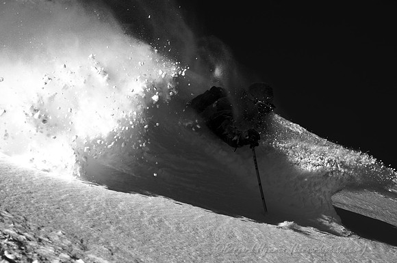 D300_54511bw