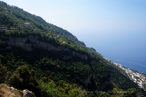 D300_134933