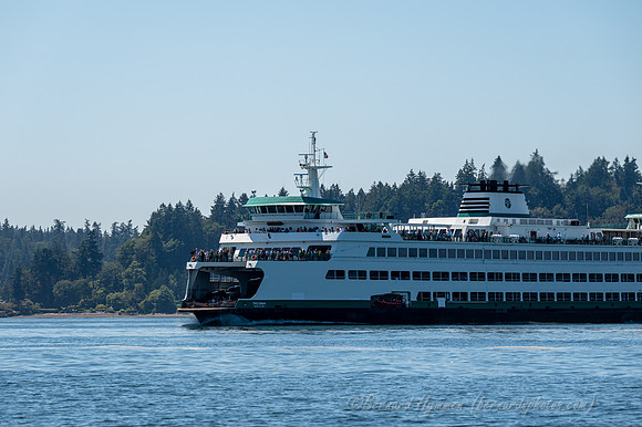 Z6_185851