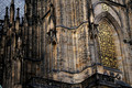 D300_74575