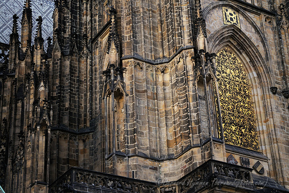 D300_74575