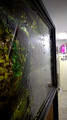 WP_20141212_19_29_54_Pro