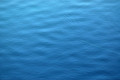 D70_12577